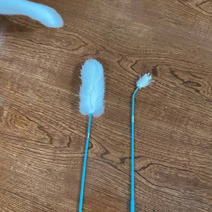 Fc23957a d69c 4957 843b 496413b39bfb 1662777292774