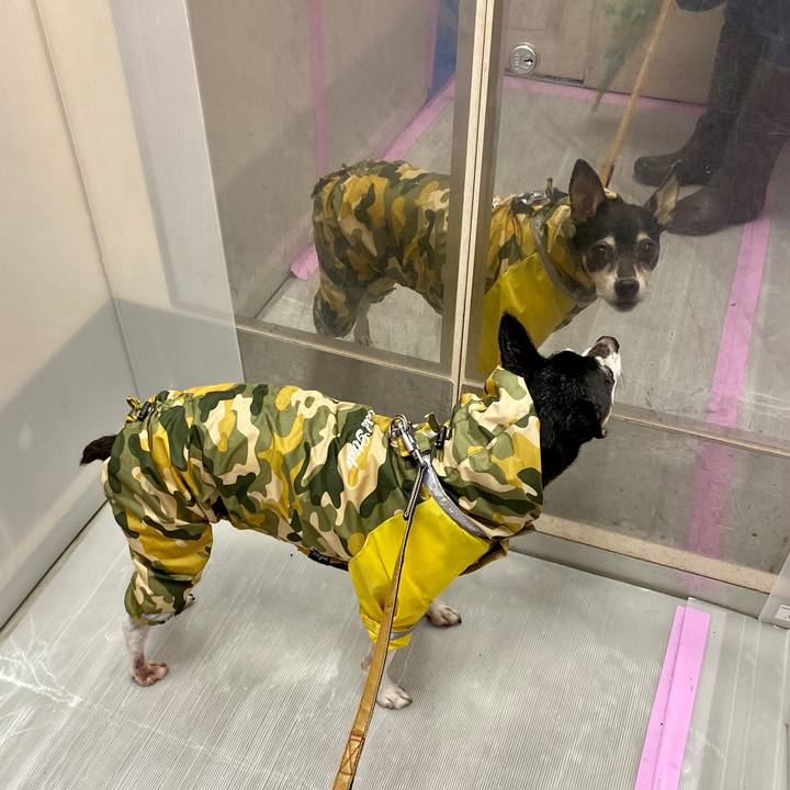 Fc23cf72 d86b 4d1b 95a0 78c0e1e2b8f5 1572298965337