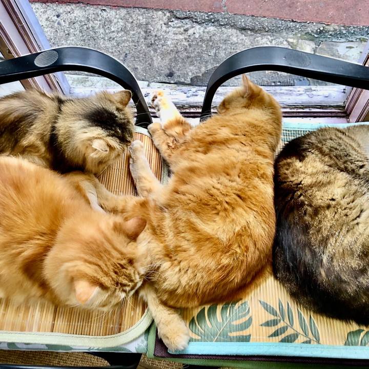 Fc243911 8179 4d06 8569 5a3f1fad8704 1657240276709