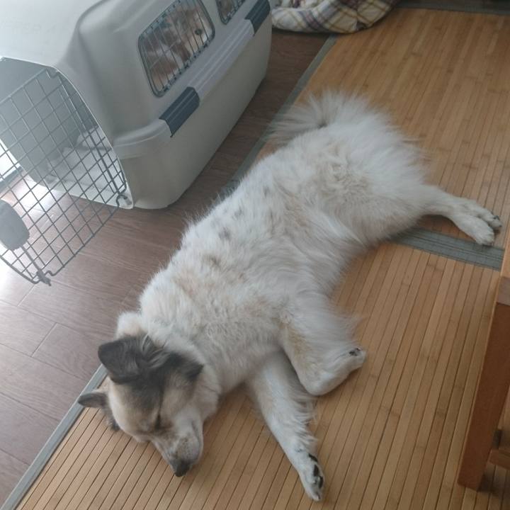 Fc245d48 8438 47d2 852f d422c500ca6f 1524308964294