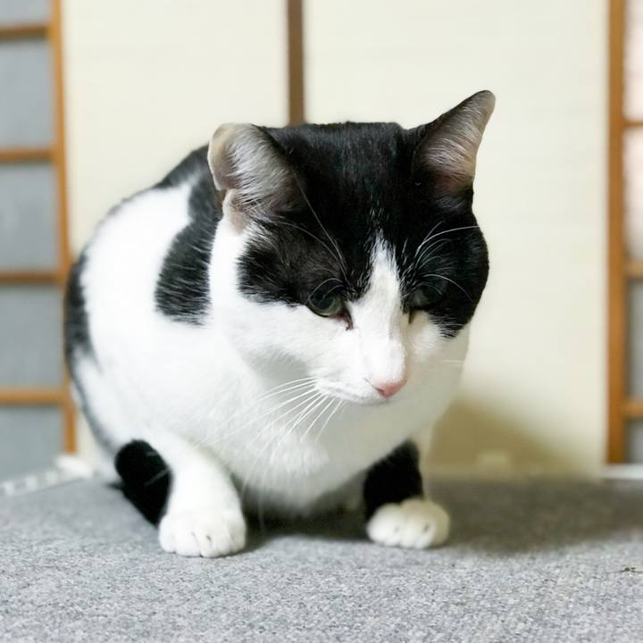 Fc246505 6b56 47ef 84bf 61f53029c022 1513731276437