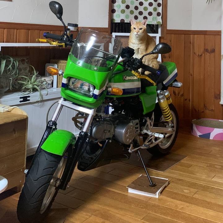 Fc2466e1 6f80 499a a99a 8322bf17ab15 1664364337597