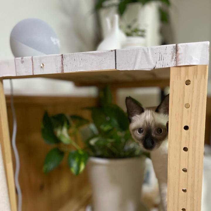 Fc246f73 0761 46a4 9061 cbe8f82f89ec 1693425195668