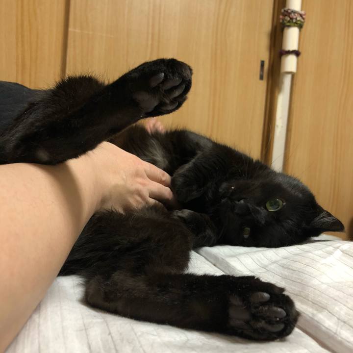 Fc24b971 c9ad 494d b44e f8a810484673 1584017516958