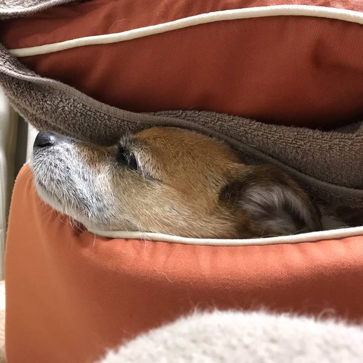 Fc24c44f 51ae 4ac4 8a4e a0581d322c87 1557403210754