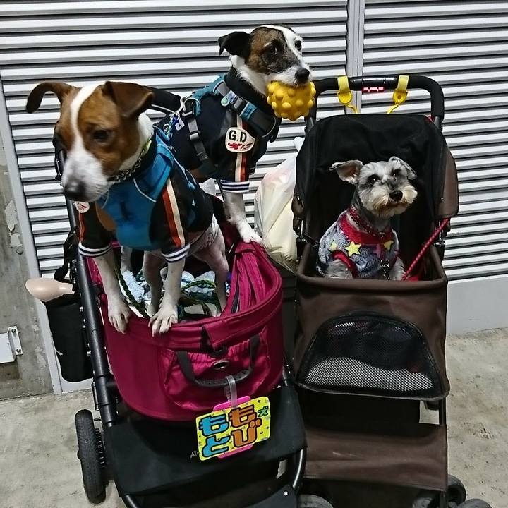 Fc24cc8e 6b14 485e 8412 b5a5e11a1870 1578739635326