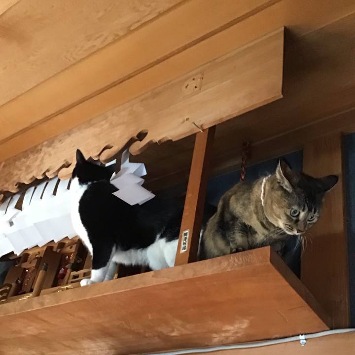 Fc24f0d0 8c05 42a3 8705 1fa978da31da 1737966833492