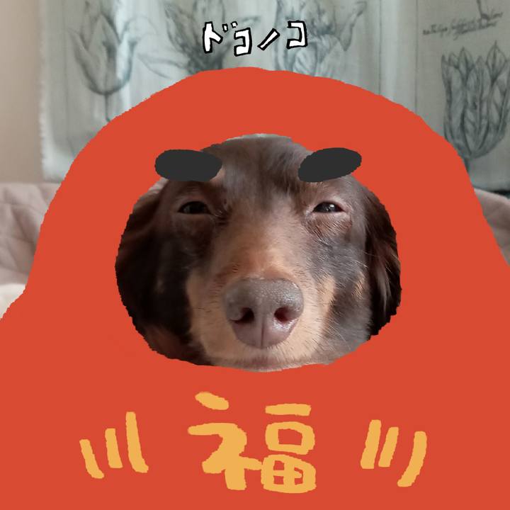 Fc24fe7d 2174 4f9b 8538 ca80ab5e9289 1771966982401