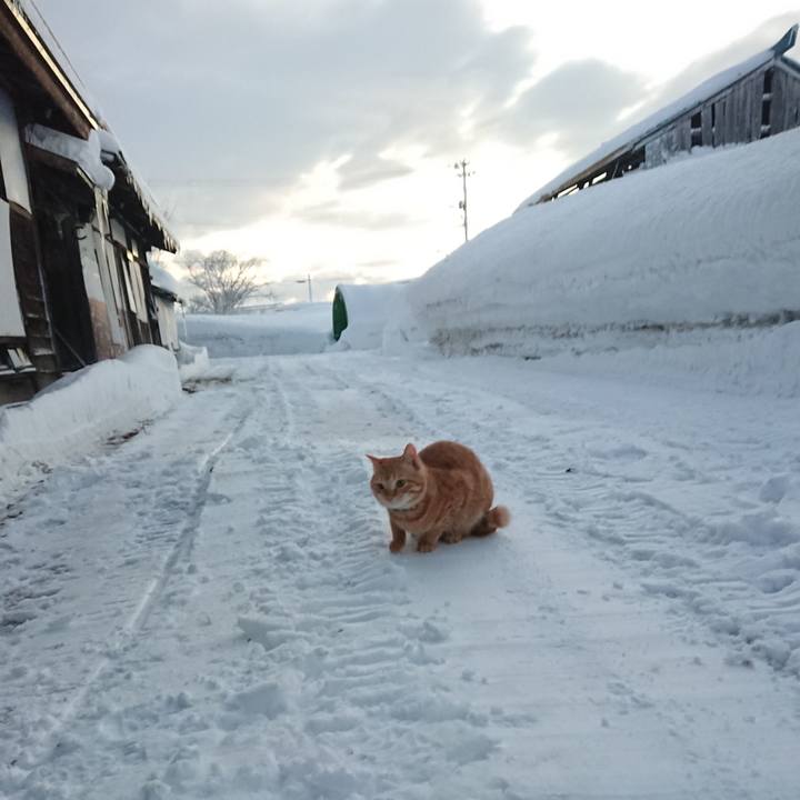 Fc25258b 8799 4033 8cec dc244ec430dc 1643665057034