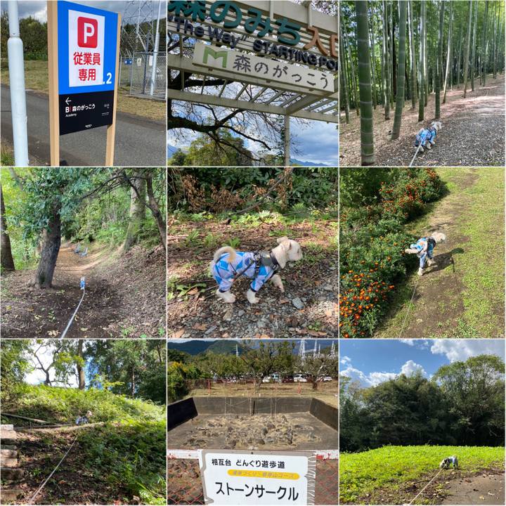 Fc2542ce b007 48f7 a2cf e2192f252fb8 1603532577649