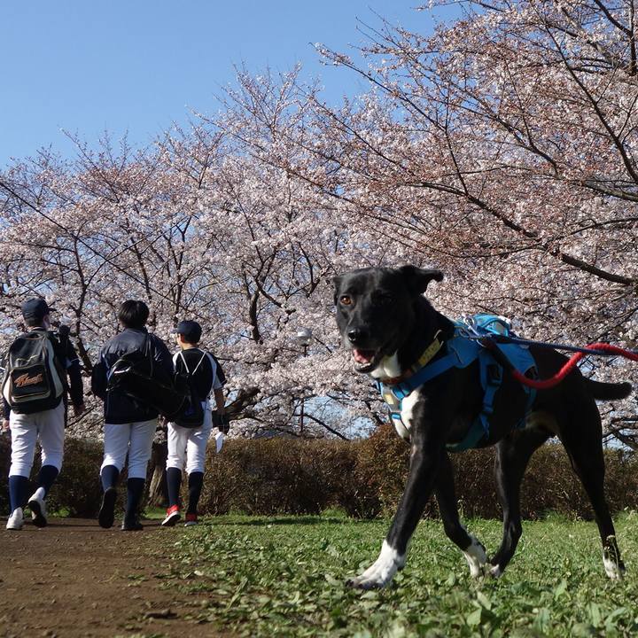 Fc255fb3 b5a1 42e3 a788 4524a7ac5774 1616726163444