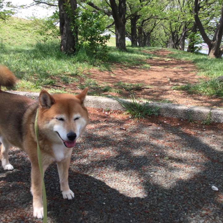 Fc257071 4f66 4dde b1d4 bb74229c8a18 1587535609485