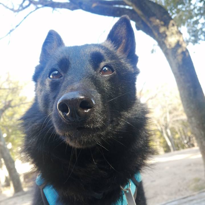 Fc258e7e 0bcd 4d83 88d7 969bd0169a25 1645834499816