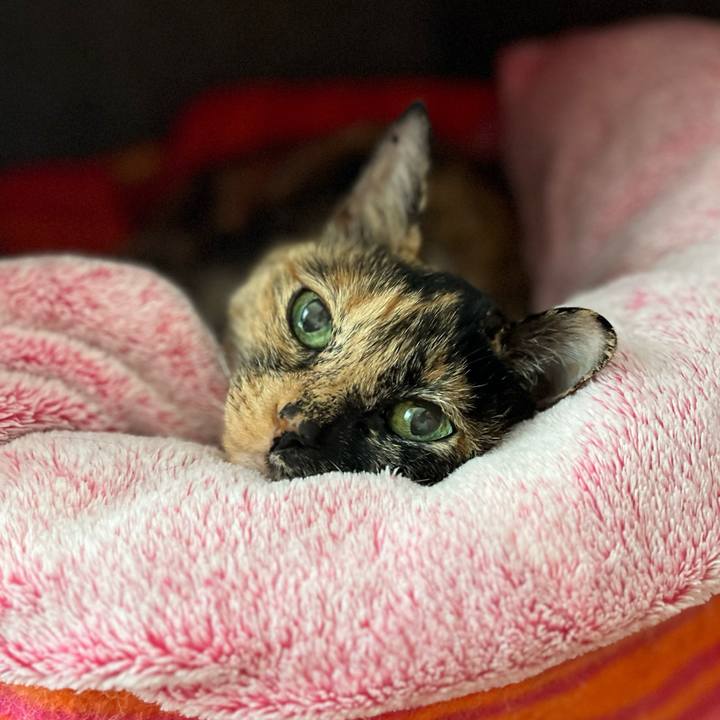 Fc2595e7 e925 4c9b 9b2f 9eea980bb7f2 1735474615351