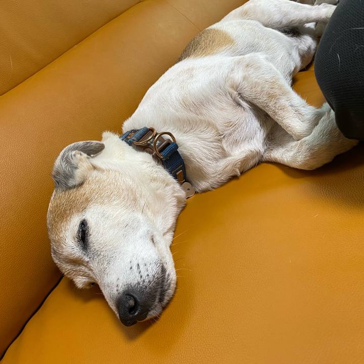 Fc25a30d 9b50 45cc 99e3 186fc597f417 1624089712364