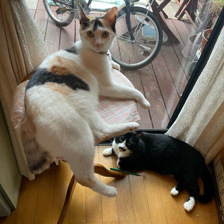 Fc25af68 8ade 46d2 9a68 8a979f6472c6 1695855749491