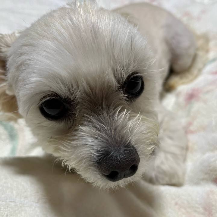 Fc25dabc fbd8 4ee3 9564 e30821916088 1653218974775