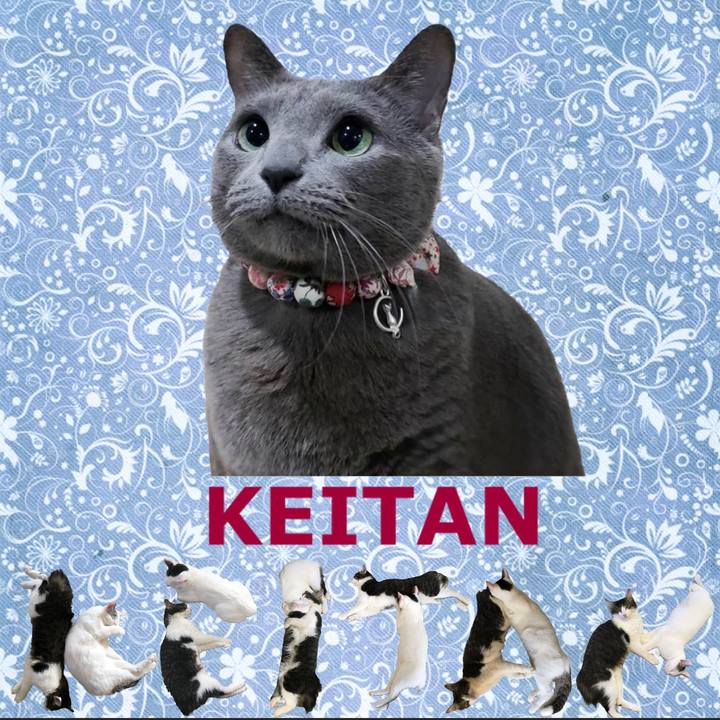 Fc25e70b eb19 4065 8210 7ee67cc23bc5 1667529260161