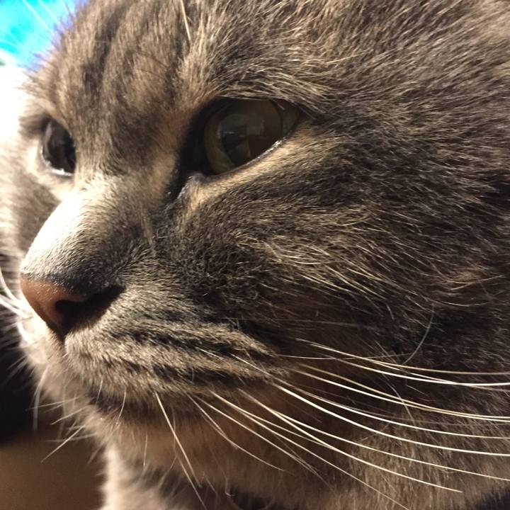 Fc2615f0 d40f 4d8f 9068 acbd4444f796 1600558036649