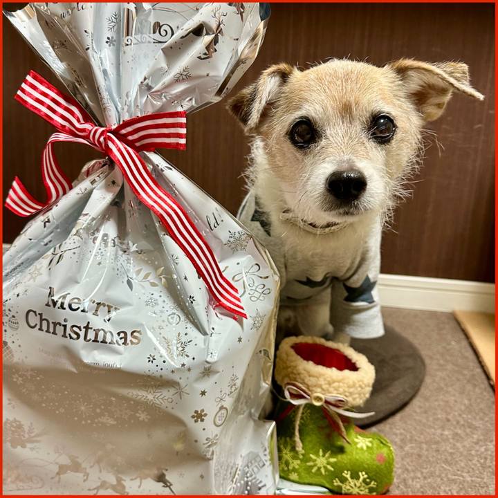 Fc261d07 2a41 4504 b0d7 265d00b29bb7 1703499306051