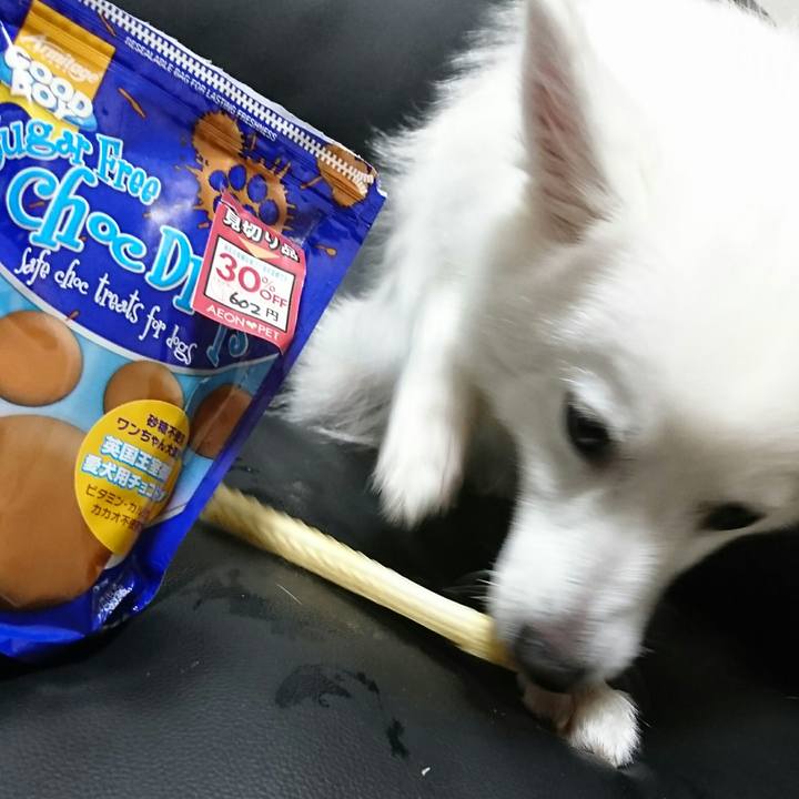 Fc26279c c13e 4636 beaa 552ee3cde87f 1509281200525