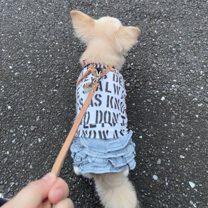 Fc265b71 a949 4cf0 ace2 2af8543c8bf8 1725357207977