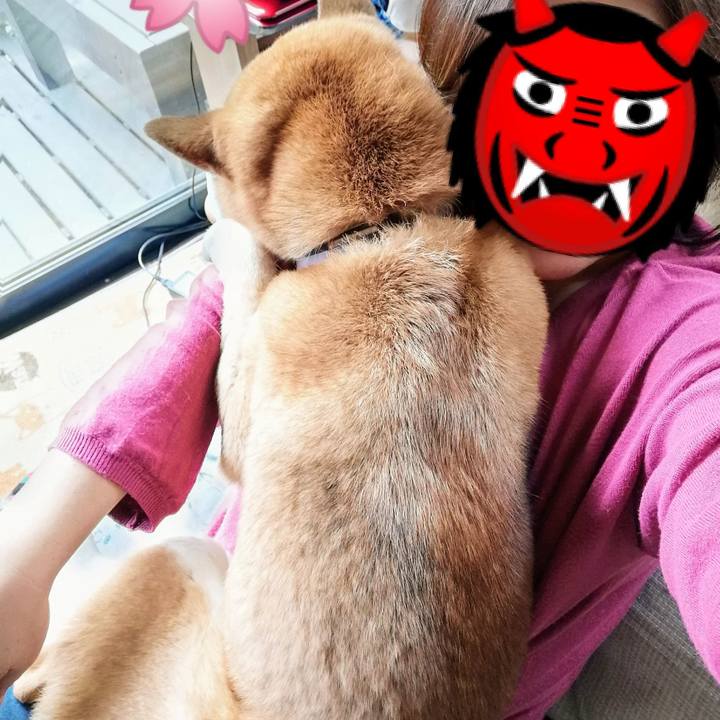 Fc268c9a 4739 4683 97c9 9de7e81f3ef6 1585277612376