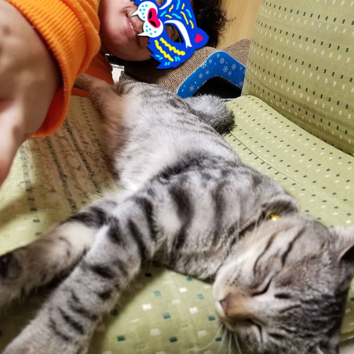 Fc2692a1 6b71 48e8 bf7a d34b7c325bb4 1670717705471