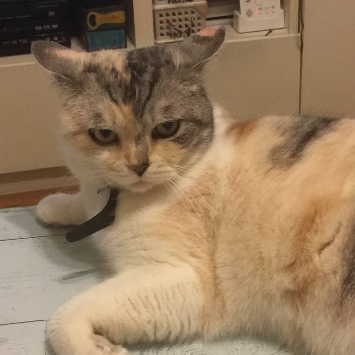 Fc26a9cd 82fb 4fec b3bb c035b4878840 1559390951492