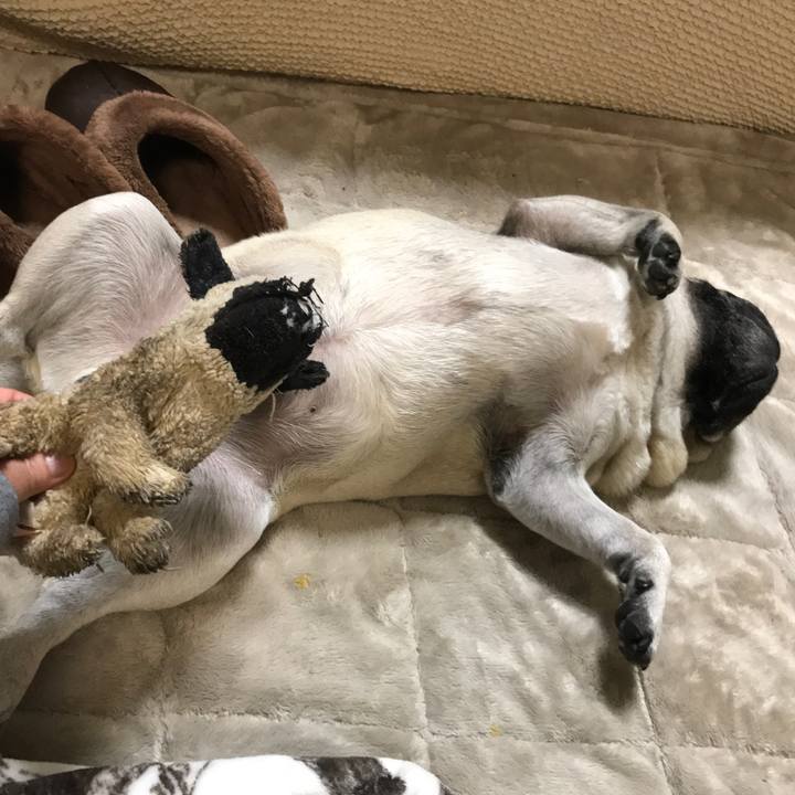 Fc26b1d8 e557 4900 a26c 70c7de8ada89 1555680468046