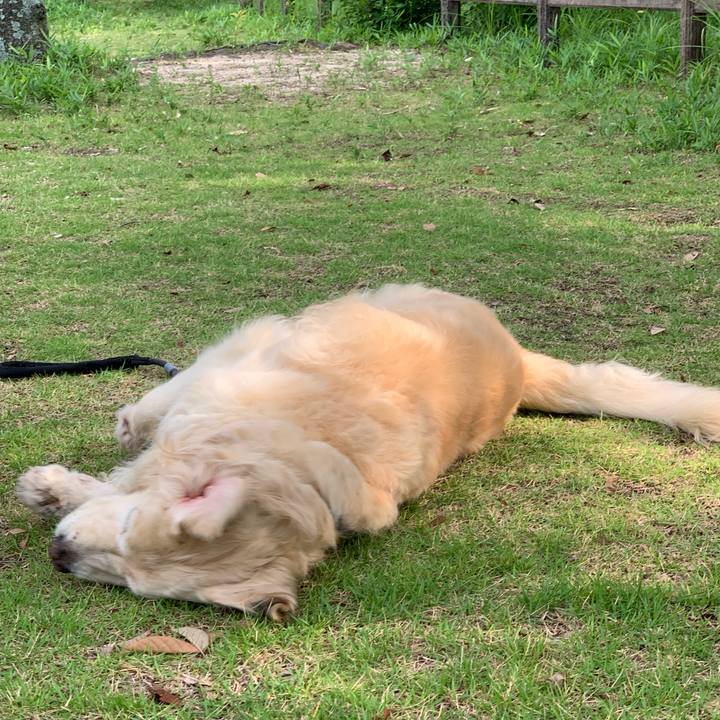 Fc26f168 44d2 4826 9a87 57b2a4eeb966 1562393607034