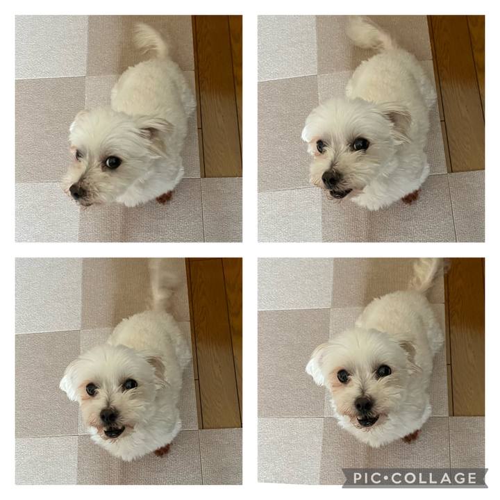 Fc26fe30 e746 4e56 b1dc ce77bb642ce4 1689681300787