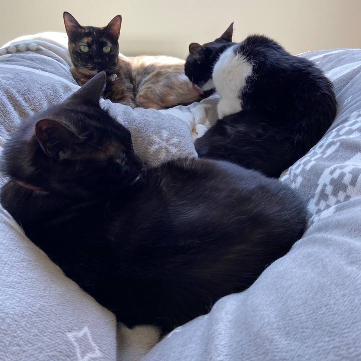 Fc2701e3 47fd 424b 91c8 ddfba295af86 1618575060951