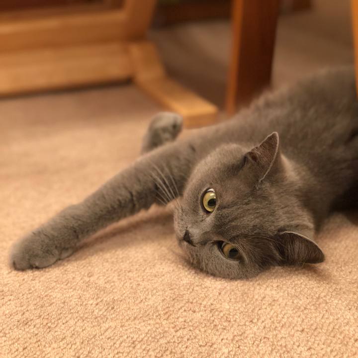 Fc27414f be8b 43f7 b9fd 5f8ca23b36f6 1531914078625