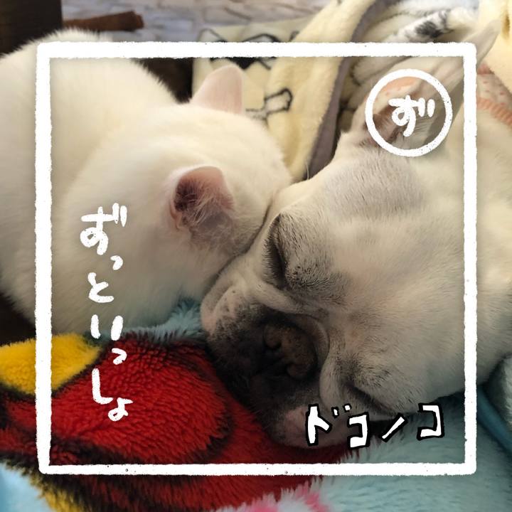 Fc275754 9fc8 4e79 a61f 938b4c49bd25 1685958028149