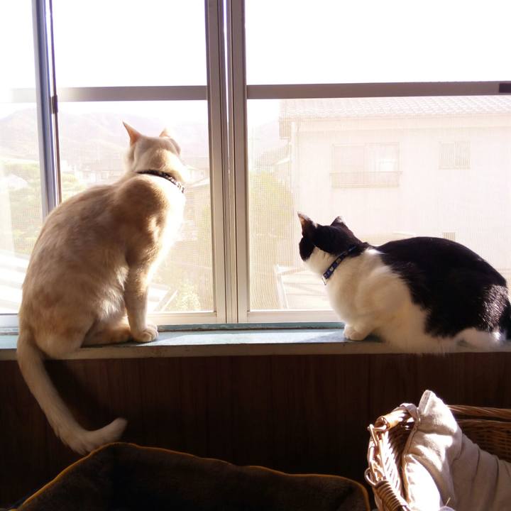 Fc276293 e747 45e0 a534 0c37b239308d 1512281150276