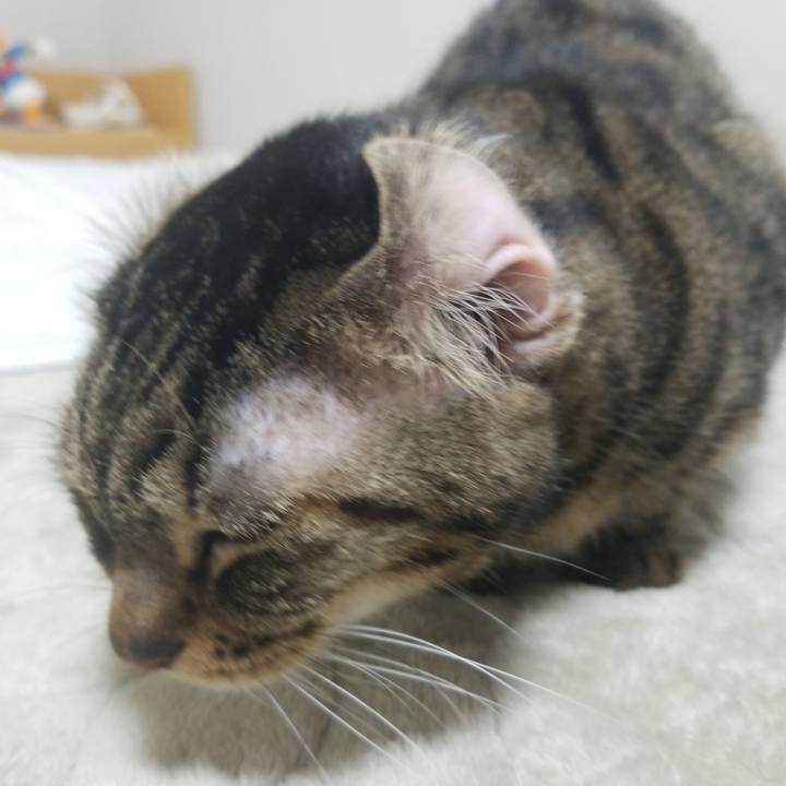 Fc2791ed 0754 400c 829c a15e720babed 1579727947991