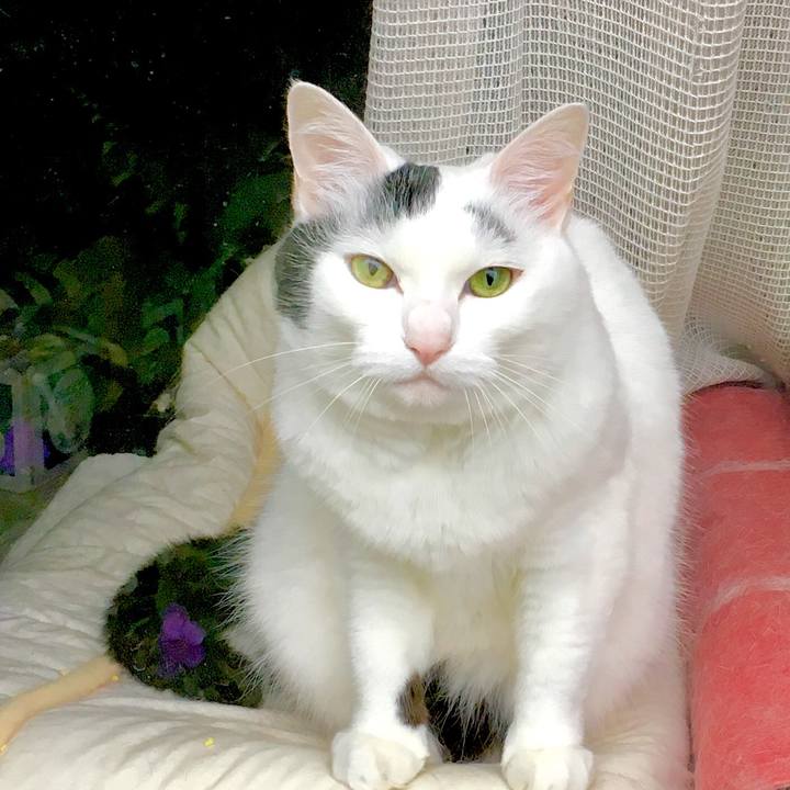 Fc27b8fe 6a6d 47a3 83d7 124b8efcc1f2 1561177046177