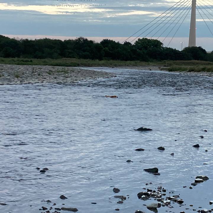 Fc27c757 8501 4abb b592 f57a29aaef60 1758840409873