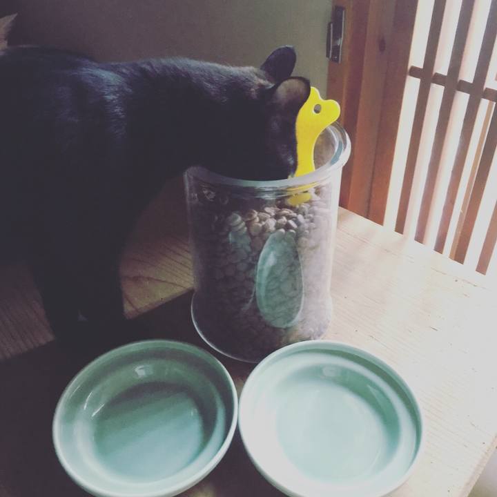 Fc27e737 76a0 4c8b b78e b7b523b25667 1531692910408