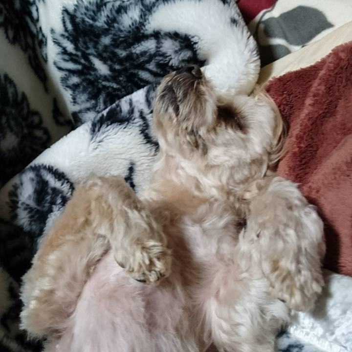 Fc2804c6 a0d8 454a b2fe 54ced7e7f127 1577718674204