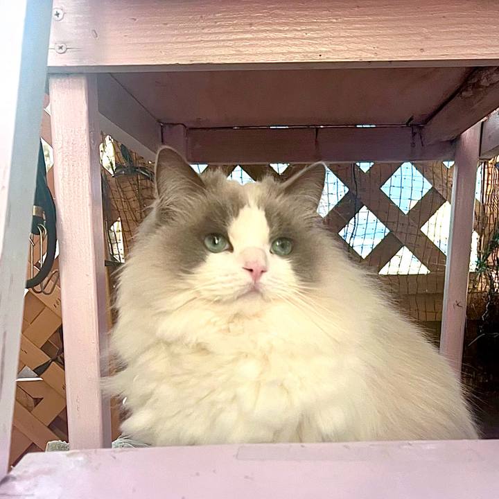 Fc286be0 bb68 4ddb b5c8 77f7e44929bc 1773613788343