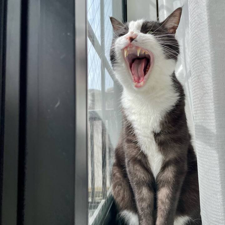 Fc2896ab 8760 4829 a925 2672f636e7ef 1649385566411