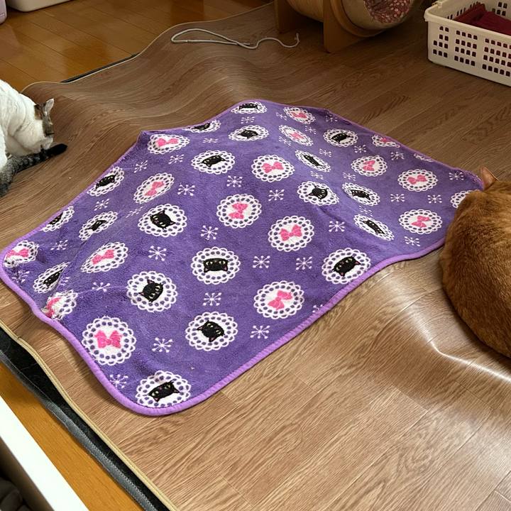 Fc28ad4d 4b71 4643 9e12 017cd3ca9d03 1682543053789