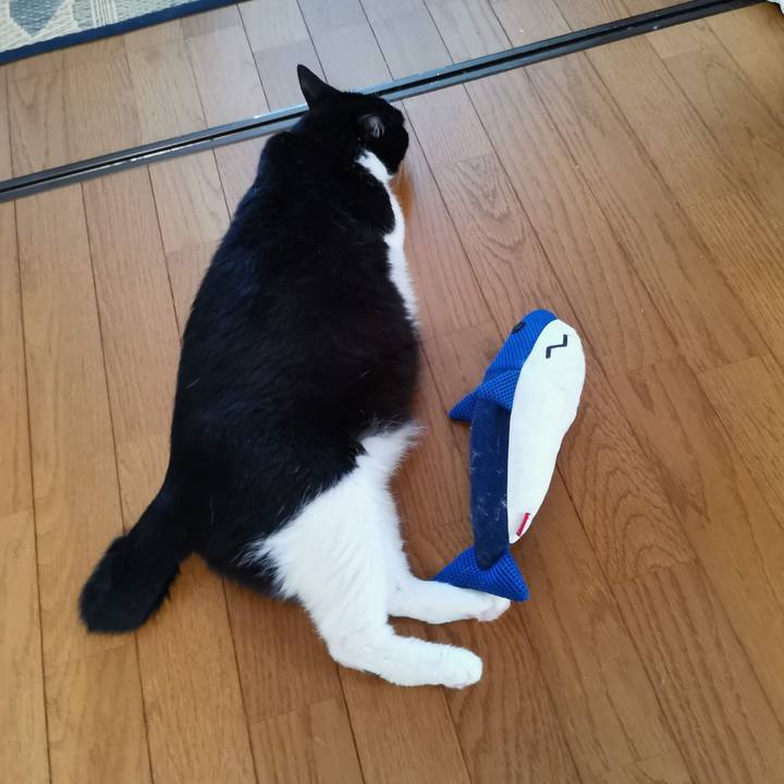 Fc28b347 02f1 4ab0 ae28 e50f9a27de2c 1691468352605