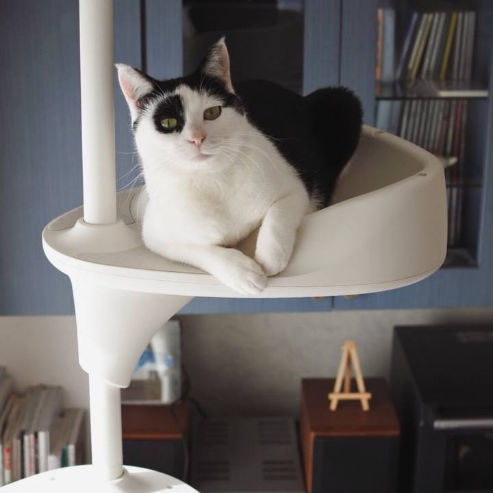 Fc28b82b 2a71 460f b5bd 87989e34ac01 1515400690573