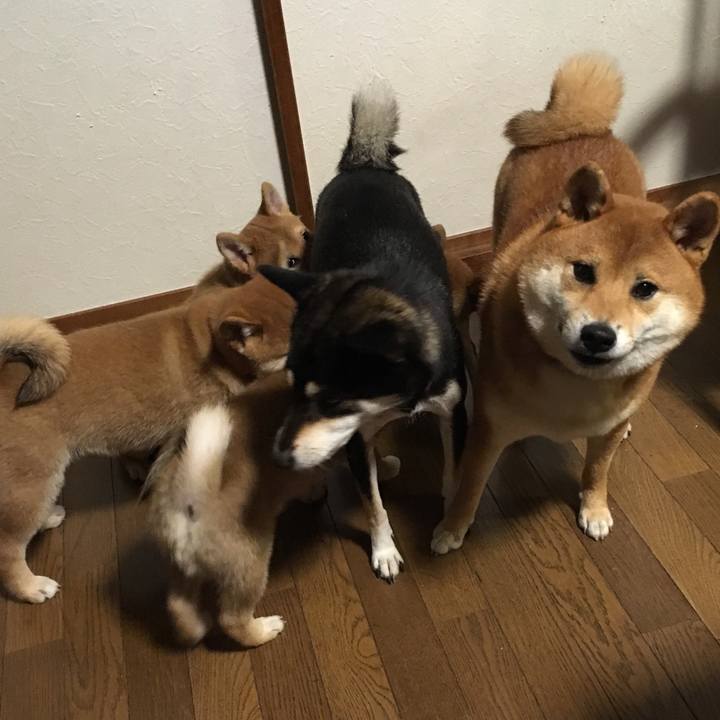 Fc28f150 8d2e 487b b22b 078ee2dc57d9 1513118372755