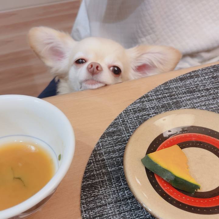 Fc2921ec 38bf 48f3 bf24 29982757ca14 1761555786014