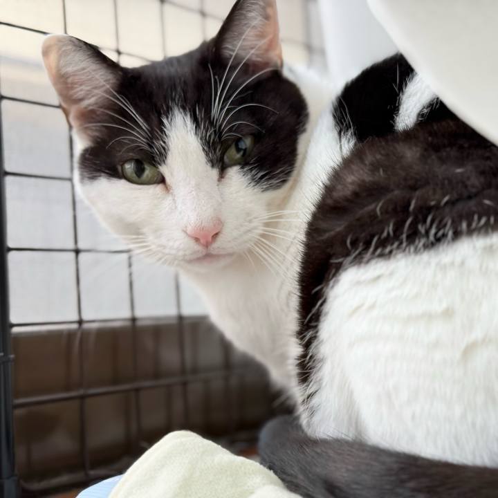 Fc295193 6373 4288 a0f0 4b48bca69c19 1732845519841