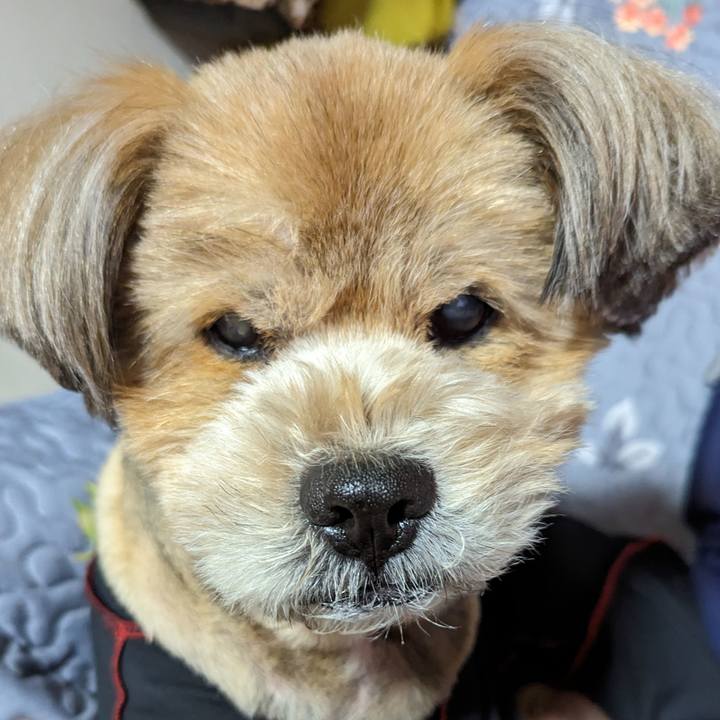 Fc295211 61a0 4b7b 9d19 86b673ee1ee5 1682086060744